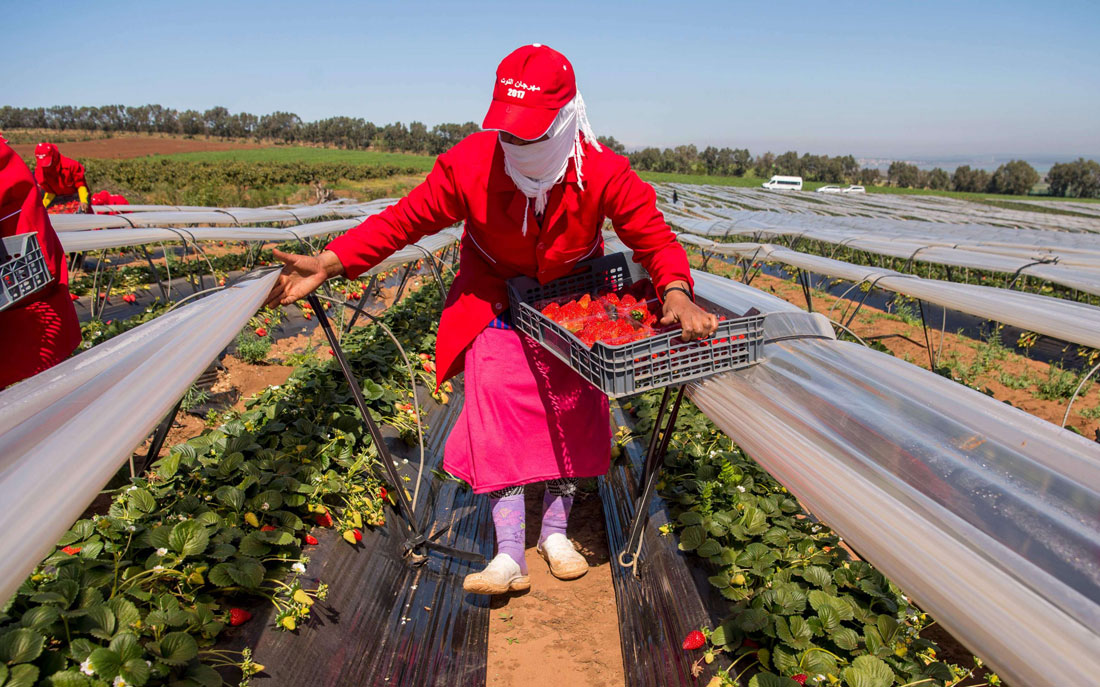 بالإضافة إلى الطائفة اليهودية المغربية، تحصل مؤسسة الأطلس الكبير أيضا على أراض عينية عمومية من الوكالة الوطنية المغربية للمياه والغابات
